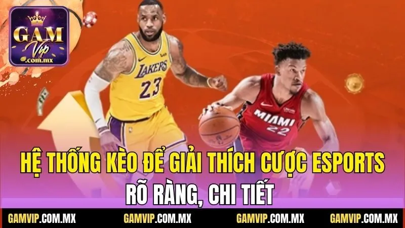 Hệ thống kèo để giải thích cược esports rõ ràng, chi tiết 