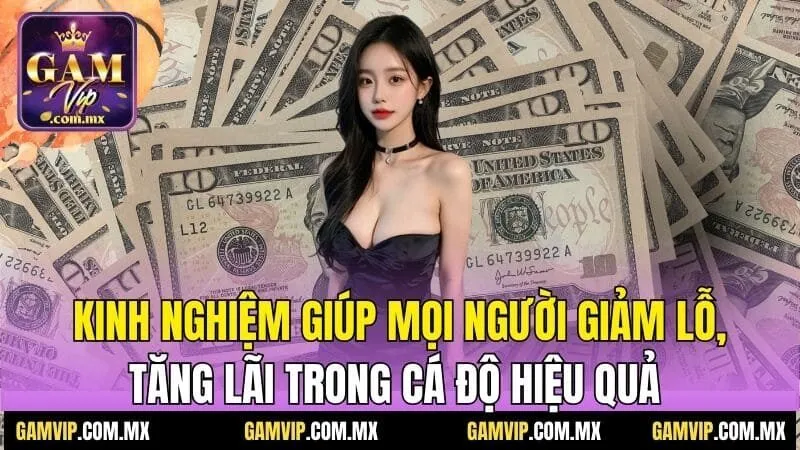 Lỗ lãi trong cá độ - Hiểu rõ để tối ưu tiền thưởng 4 Kinh nghiệm giúp mọi người giảm lỗ, tăng lãi trong cá độ hiệu quả